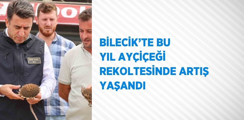 BİLECİK’TE BU YIL AYÇİÇEĞİ REKOLTESİNDE ARTIŞ YAŞANDI