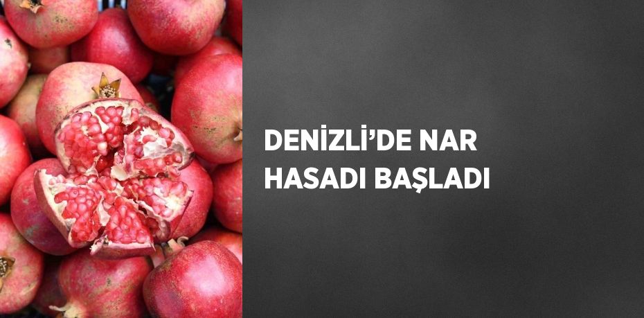 DENİZLİ’DE NAR HASADI BAŞLADI