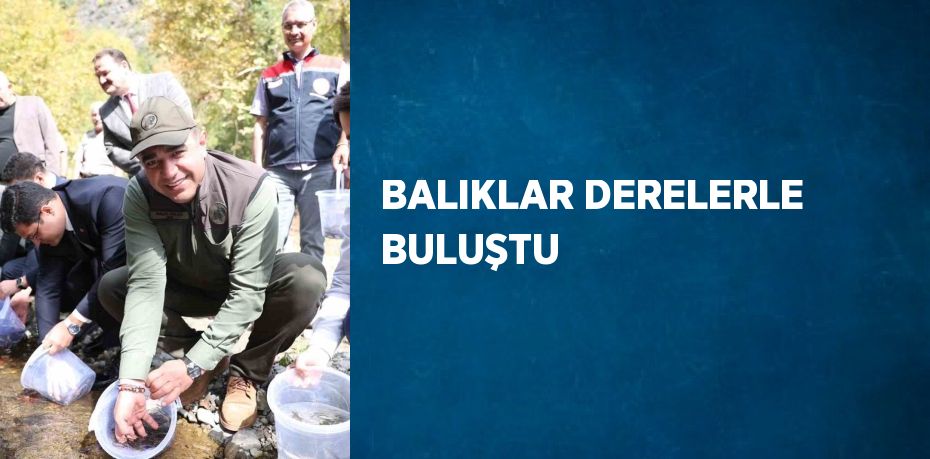 BALIKLAR DERELERLE BULUŞTU