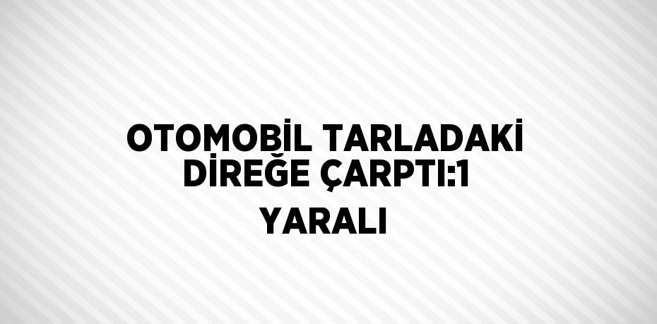 OTOMOBİL TARLADAKİ DİREĞE ÇARPTI:1 YARALI