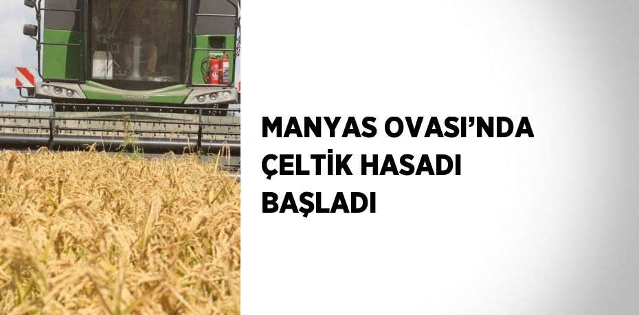 MANYAS OVASI’NDA ÇELTİK HASADI BAŞLADI