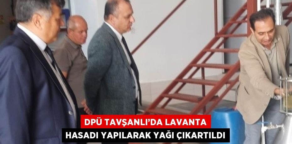 DPÜ TAVŞANLI’DA LAVANTA HASADI YAPILARAK YAĞI ÇIKARTILDI