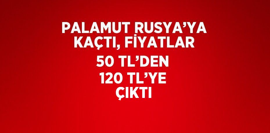 PALAMUT RUSYA’YA KAÇTI, FİYATLAR 50 TL’DEN 120 TL’YE ÇIKTI