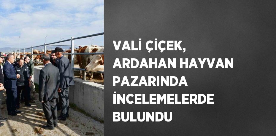 VALİ ÇİÇEK, ARDAHAN HAYVAN PAZARINDA İNCELEMELERDE BULUNDU