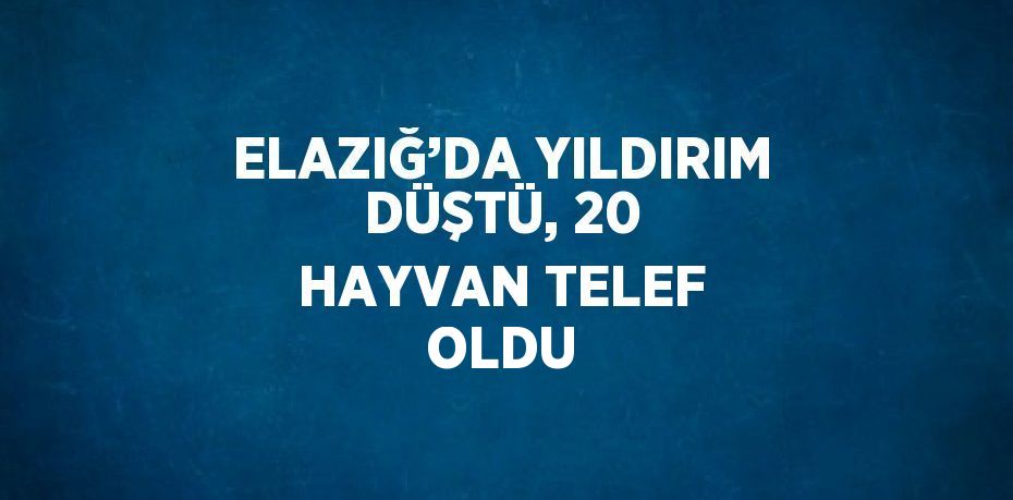 ELAZIĞ’DA YILDIRIM DÜŞTÜ, 20 HAYVAN TELEF OLDU