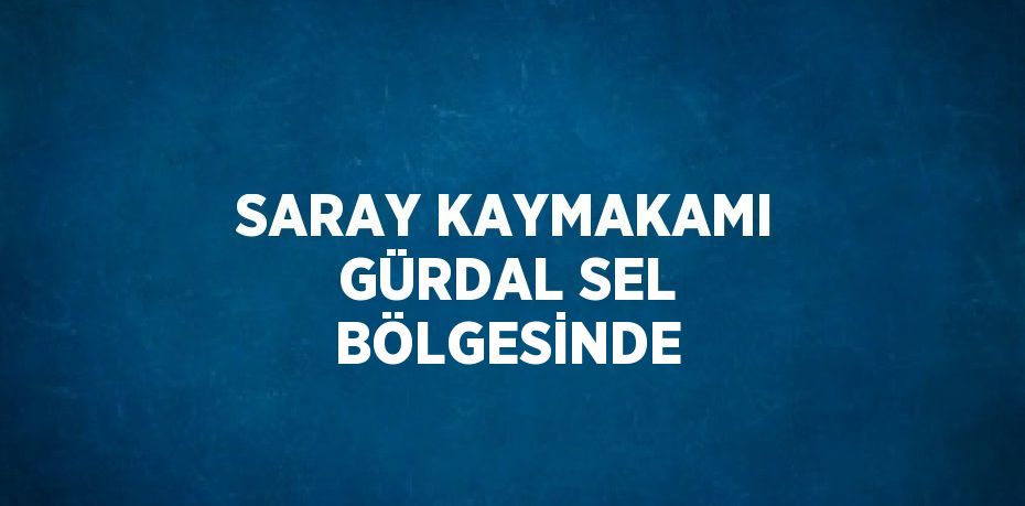 SARAY KAYMAKAMI GÜRDAL SEL BÖLGESİNDE