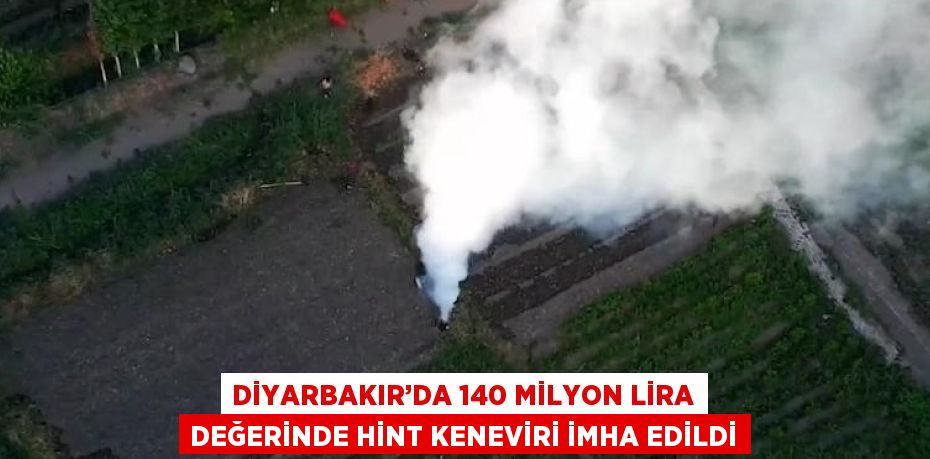 DİYARBAKIR’DA 140 MİLYON LİRA DEĞERİNDE HİNT KENEVİRİ İMHA EDİLDİ