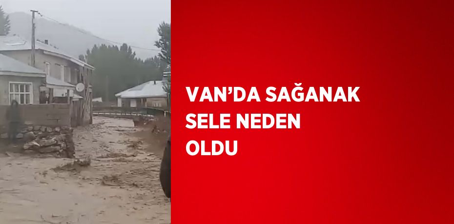 VAN’DA SAĞANAK SELE NEDEN OLDU