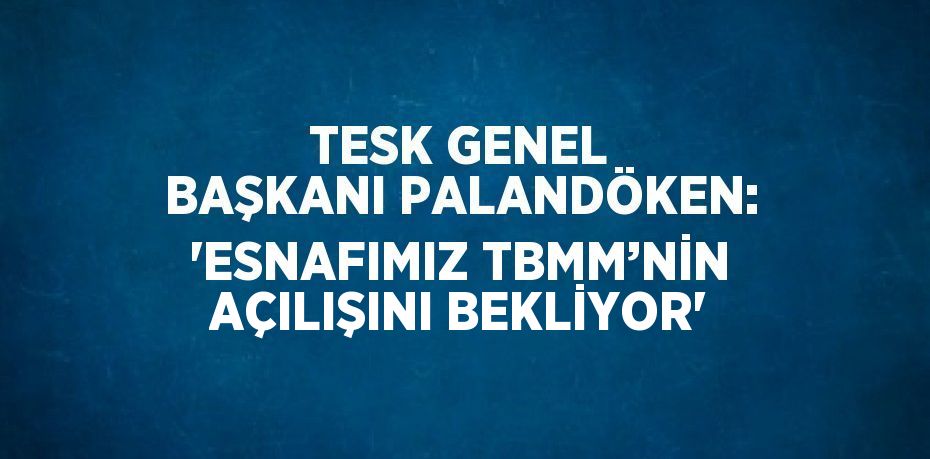 TESK GENEL BAŞKANI PALANDÖKEN: 'ESNAFIMIZ TBMM’NİN AÇILIŞINI BEKLİYOR'