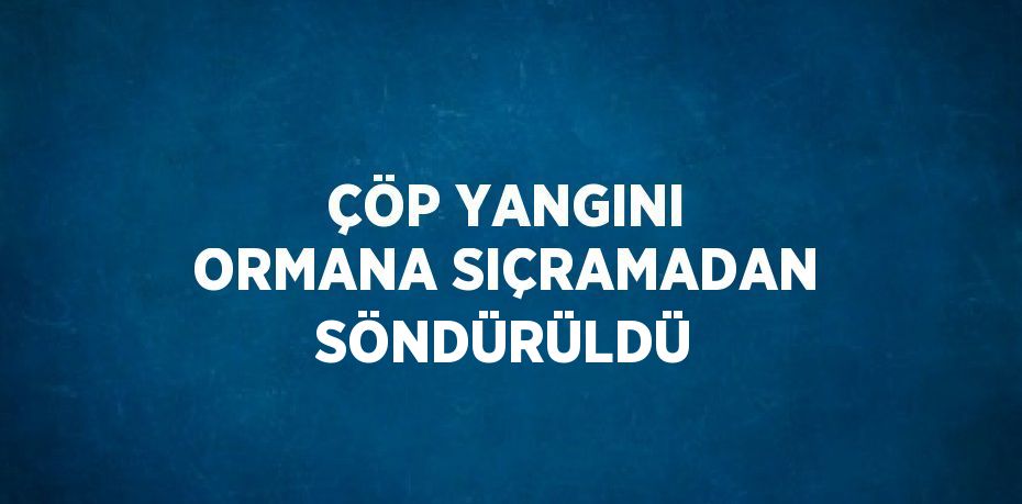 ÇÖP YANGINI ORMANA SIÇRAMADAN SÖNDÜRÜLDÜ