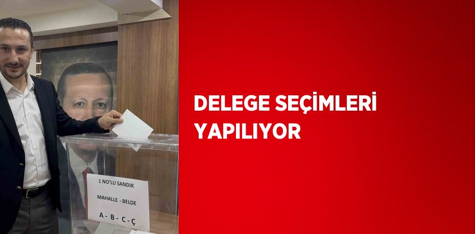 DELEGE SEÇİMLERİ YAPILIYOR