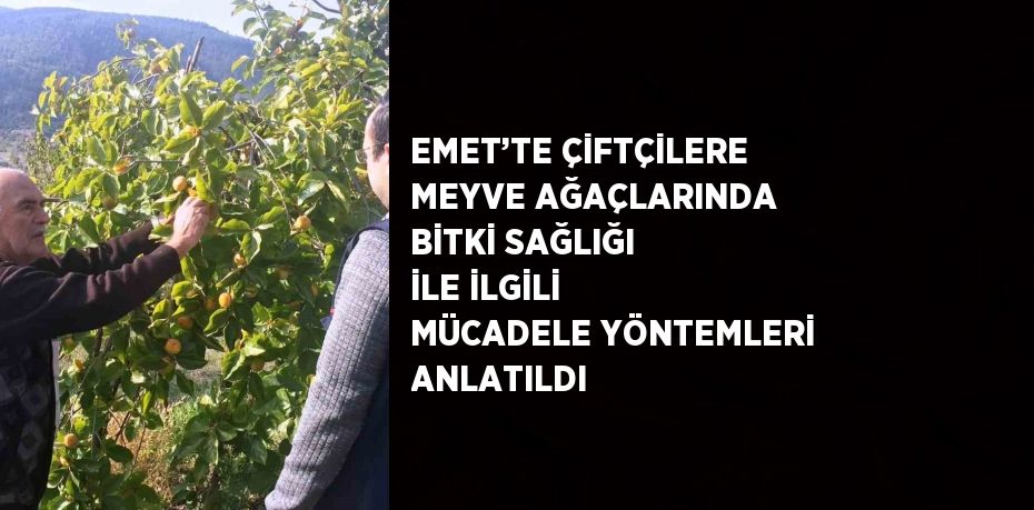 EMET’TE ÇİFTÇİLERE MEYVE AĞAÇLARINDA BİTKİ SAĞLIĞI İLE İLGİLİ MÜCADELE YÖNTEMLERİ ANLATILDI