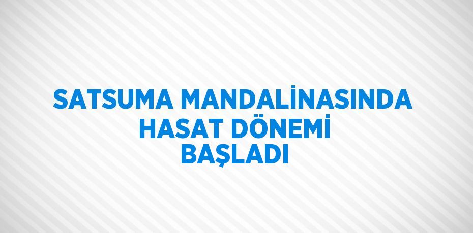 SATSUMA MANDALİNASINDA HASAT DÖNEMİ BAŞLADI