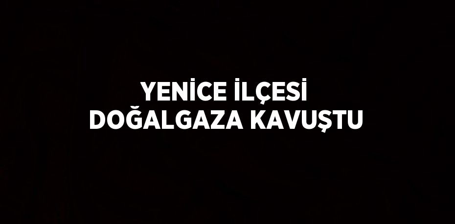 YENİCE İLÇESİ DOĞALGAZA KAVUŞTU