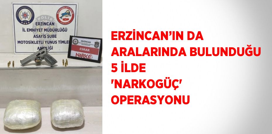 ERZİNCAN’IN DA ARALARINDA BULUNDUĞU 5 İLDE 'NARKOGÜÇ' OPERASYONU