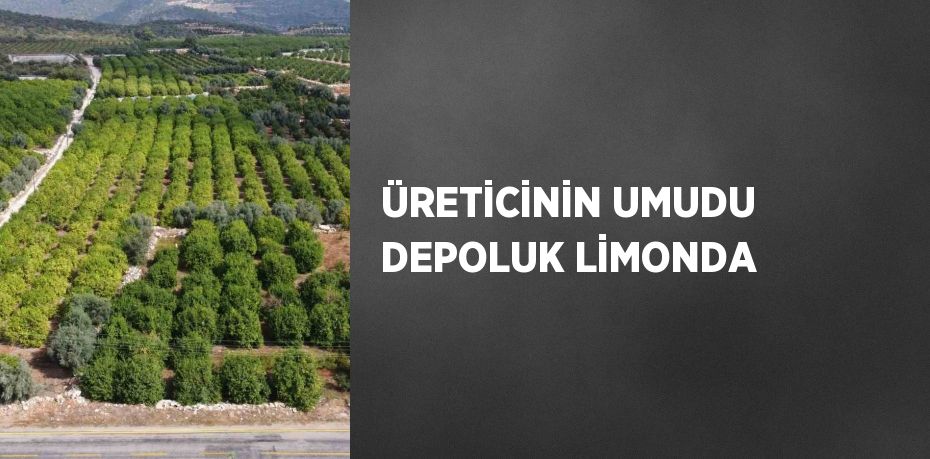 ÜRETİCİNİN UMUDU DEPOLUK LİMONDA