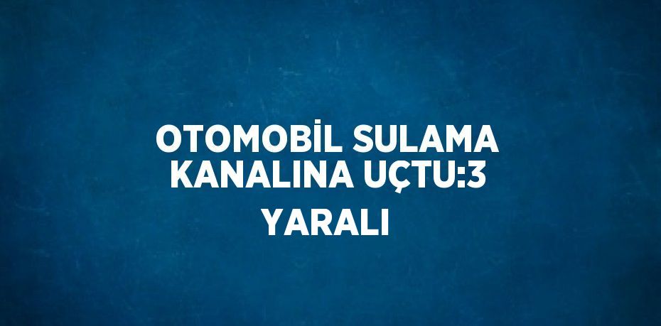 OTOMOBİL SULAMA KANALINA UÇTU:3 YARALI