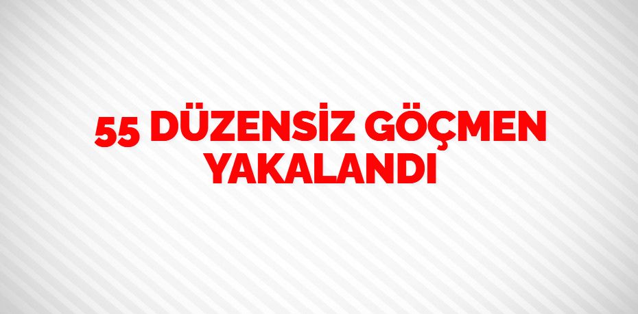 55 DÜZENSİZ GÖÇMEN YAKALANDI