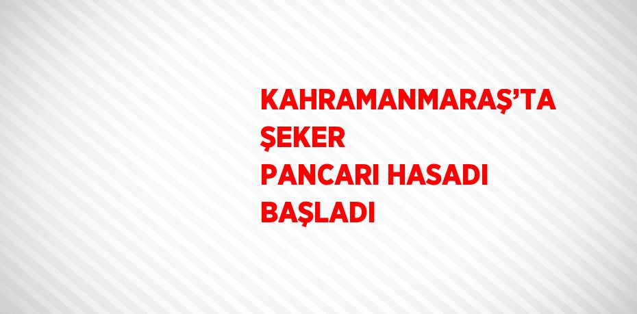 KAHRAMANMARAŞ’TA ŞEKER PANCARI HASADI BAŞLADI