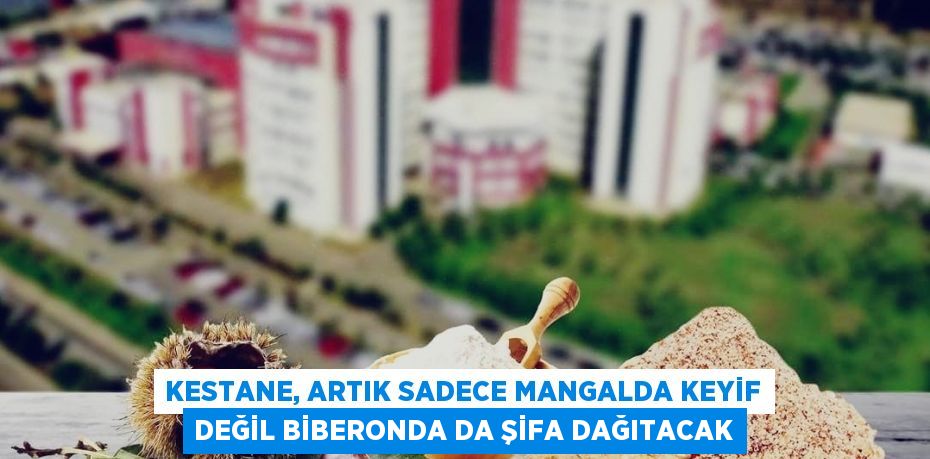 KESTANE, ARTIK SADECE MANGALDA KEYİF DEĞİL BİBERONDA DA ŞİFA DAĞITACAK