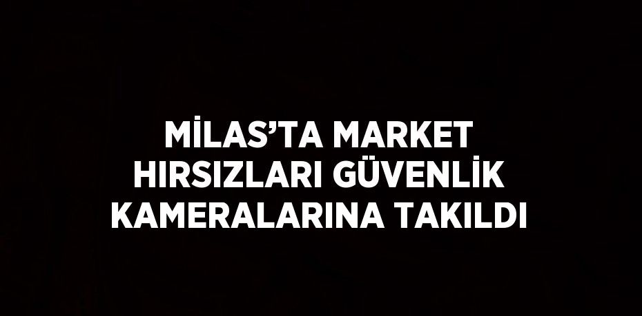 MİLAS’TA MARKET HIRSIZLARI GÜVENLİK KAMERALARINA TAKILDI