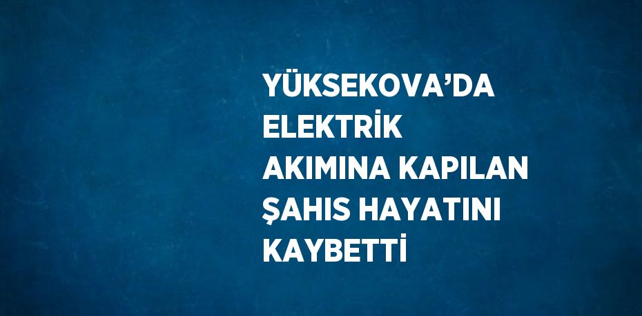 YÜKSEKOVA’DA ELEKTRİK AKIMINA KAPILAN ŞAHIS HAYATINI KAYBETTİ