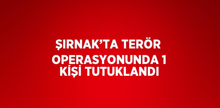 ŞIRNAK’TA TERÖR OPERASYONUNDA 1 KİŞİ TUTUKLANDI