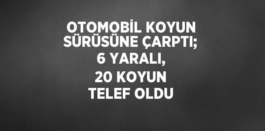 OTOMOBİL KOYUN SÜRÜSÜNE ÇARPTI; 6 YARALI, 20 KOYUN TELEF OLDU