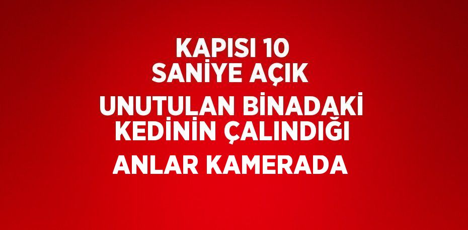 KAPISI 10 SANİYE AÇIK UNUTULAN BİNADAKİ KEDİNİN ÇALINDIĞI ANLAR KAMERADA