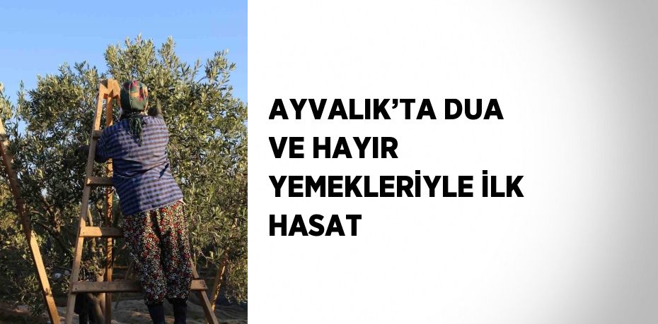 AYVALIK’TA DUA VE HAYIR YEMEKLERİYLE İLK HASAT