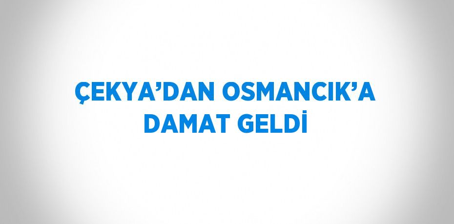 ÇEKYA’DAN OSMANCIK’A DAMAT GELDİ