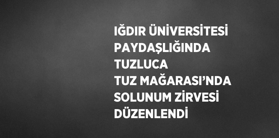 IĞDIR ÜNİVERSİTESİ PAYDAŞLIĞINDA TUZLUCA TUZ MAĞARASI’NDA SOLUNUM ZİRVESİ DÜZENLENDİ