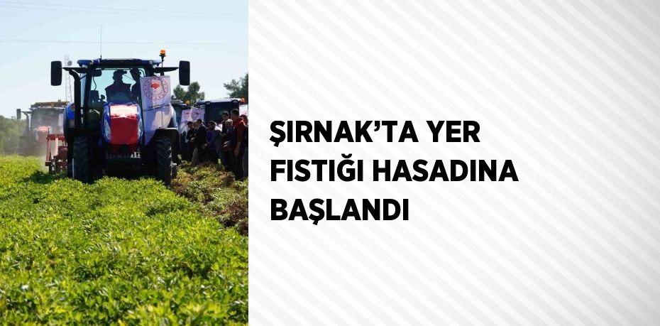 ŞIRNAK’TA YER FISTIĞI HASADINA BAŞLANDI