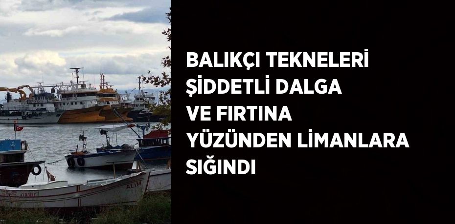 BALIKÇI TEKNELERİ ŞİDDETLİ DALGA VE FIRTINA YÜZÜNDEN LİMANLARA SIĞINDI