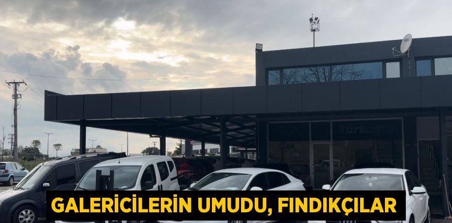 GALERİCİLERİN UMUDU, FINDIKÇILAR