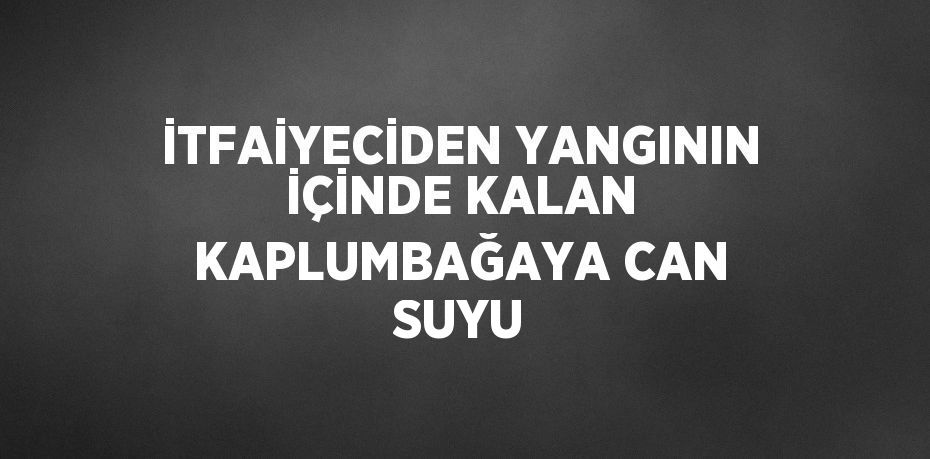 İTFAİYECİDEN YANGININ İÇİNDE KALAN KAPLUMBAĞAYA CAN SUYU