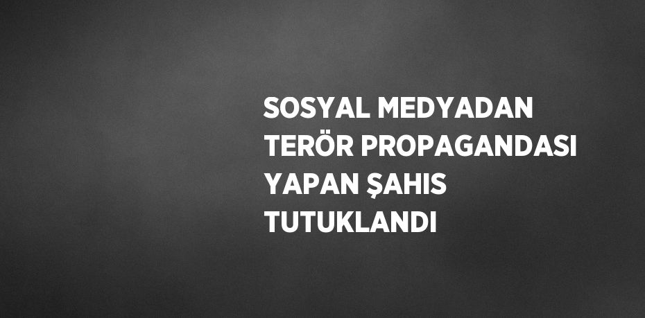 SOSYAL MEDYADAN TERÖR PROPAGANDASI YAPAN ŞAHIS TUTUKLANDI