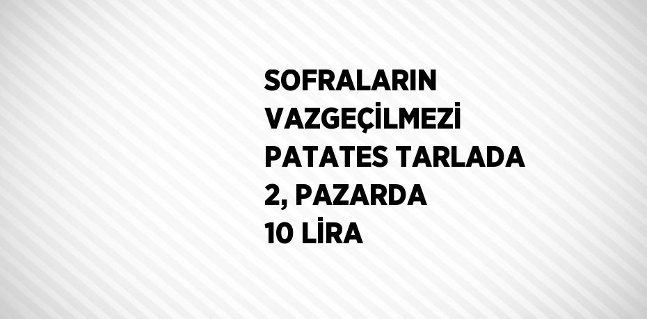 SOFRALARIN VAZGEÇİLMEZİ PATATES TARLADA 2, PAZARDA 10 LİRA