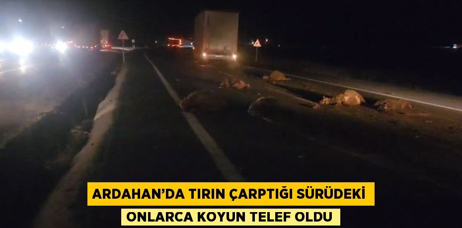 ARDAHAN’DA TIRIN ÇARPTIĞI SÜRÜDEKİ ONLARCA KOYUN TELEF OLDU