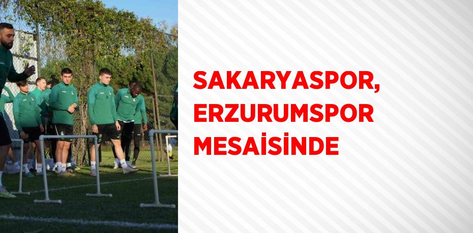 SAKARYASPOR, ERZURUMSPOR MESAİSİNDE