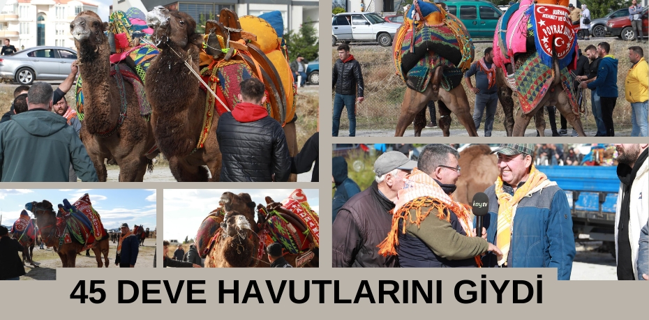 45 DEVE HAVUTLARINI GİYDİ