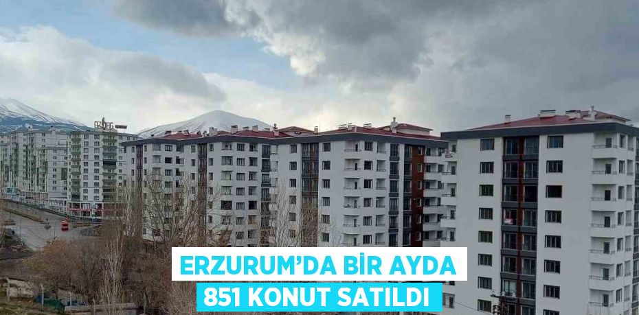 ERZURUM’DA BİR AYDA 851 KONUT SATILDI