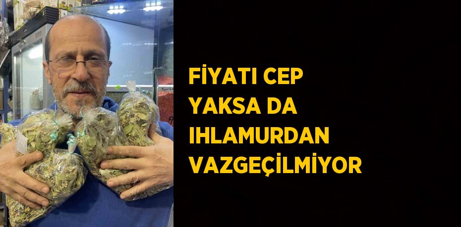 FİYATI CEP YAKSA DA IHLAMURDAN VAZGEÇİLMİYOR