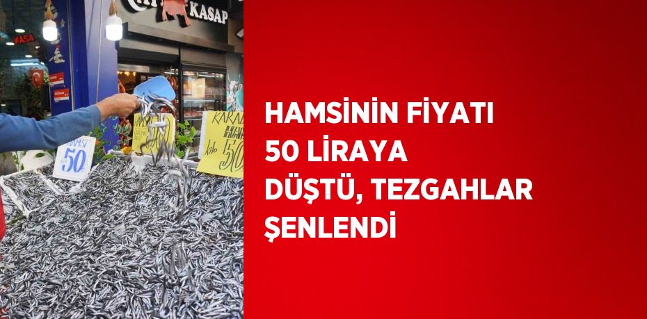 HAMSİNİN FİYATI 50 LİRAYA DÜŞTÜ, TEZGAHLAR ŞENLENDİ