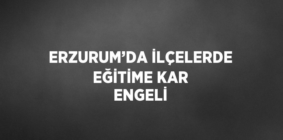 ERZURUM’DA İLÇELERDE EĞİTİME KAR ENGELİ