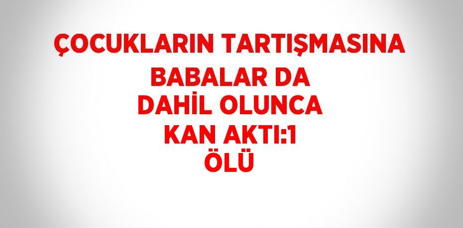 ÇOCUKLARIN TARTIŞMASINA BABALAR DA DAHİL OLUNCA KAN AKTI:1 ÖLÜ