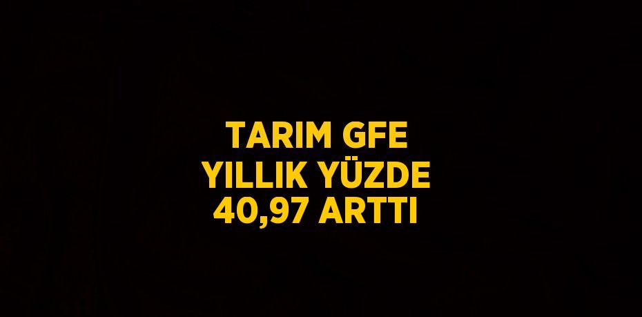 TARIM GFE YILLIK YÜZDE 40,97 ARTTI