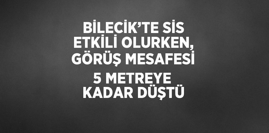 BİLECİK’TE SİS ETKİLİ OLURKEN, GÖRÜŞ MESAFESİ 5 METREYE KADAR DÜŞTÜ