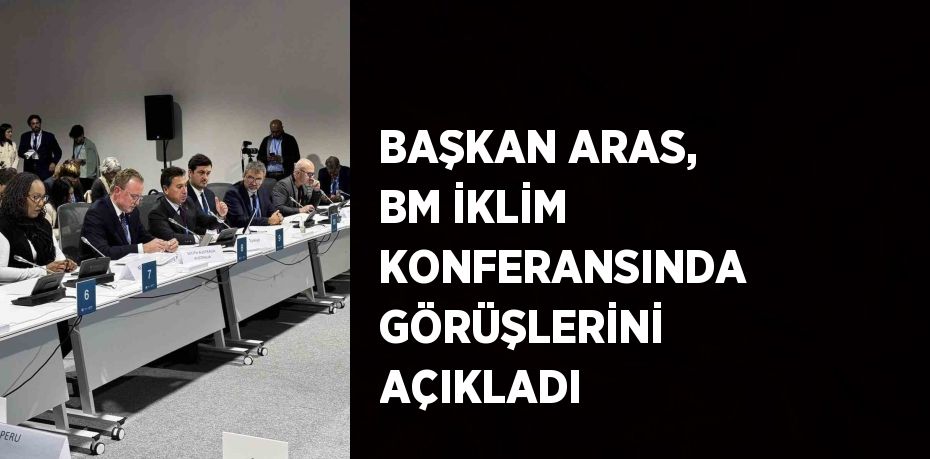 BAŞKAN ARAS, BM İKLİM KONFERANSINDA GÖRÜŞLERİNİ AÇIKLADI