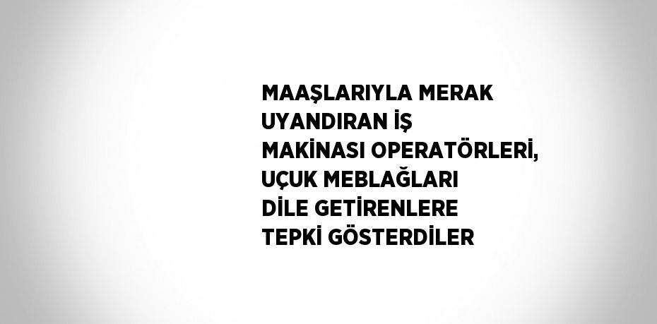 MAAŞLARIYLA MERAK UYANDIRAN İŞ MAKİNASI OPERATÖRLERİ, UÇUK MEBLAĞLARI DİLE GETİRENLERE TEPKİ GÖSTERDİLER